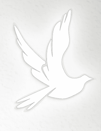 Steven R. Shackelford Obituary